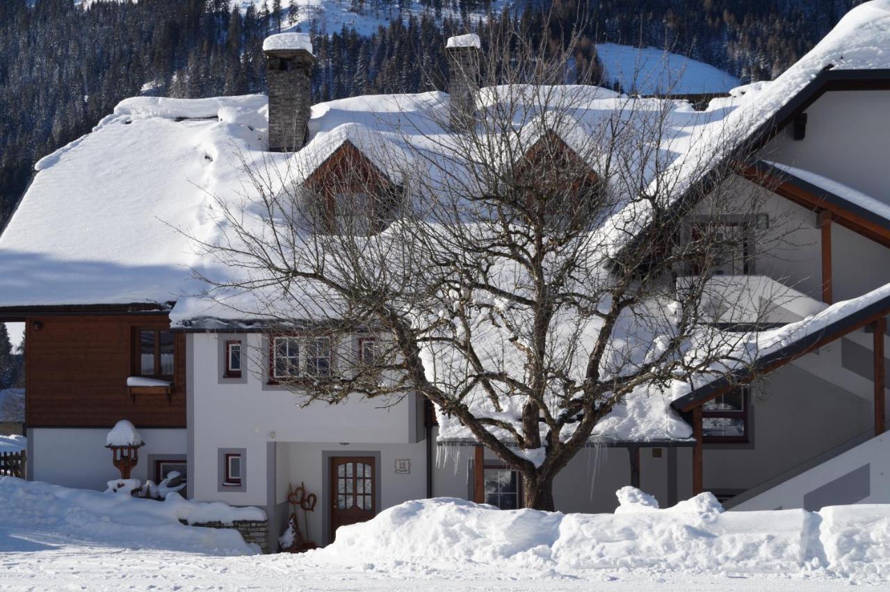 Sankt Nikolai im Sölktal Biobauernhof Spieszschweigerヴィラ エクステリア 写真