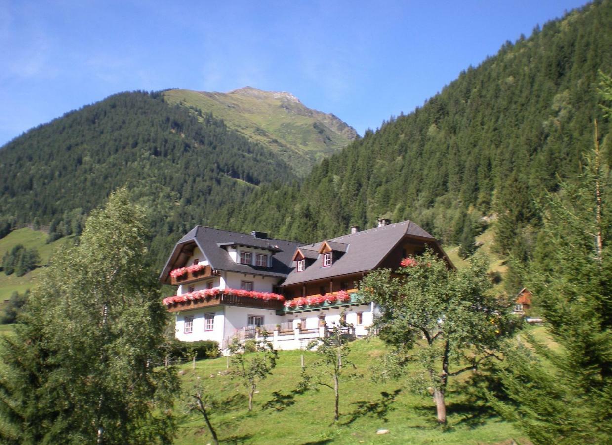 Sankt Nikolai im Sölktal Biobauernhof Spieszschweigerヴィラ エクステリア 写真