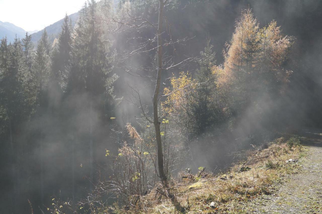 Sankt Nikolai im Sölktal Biobauernhof Spieszschweigerヴィラ エクステリア 写真